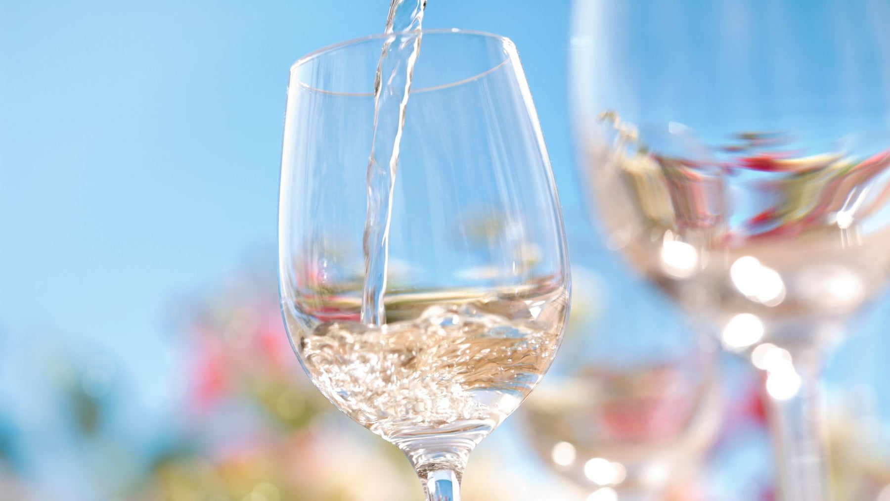 Top Summer Wines of 2023 | Expert-Selected Wine List