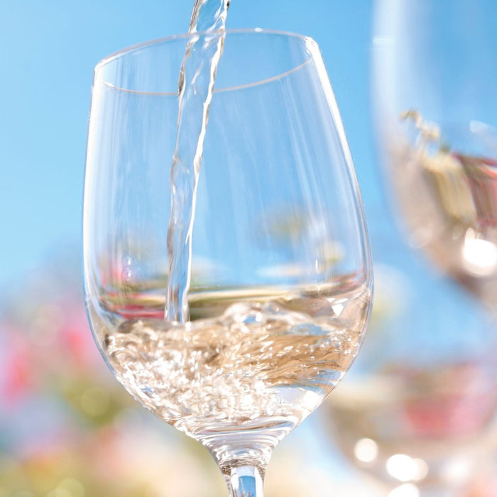 Top Summer Wines of 2023 | Expert-Selected Wine List