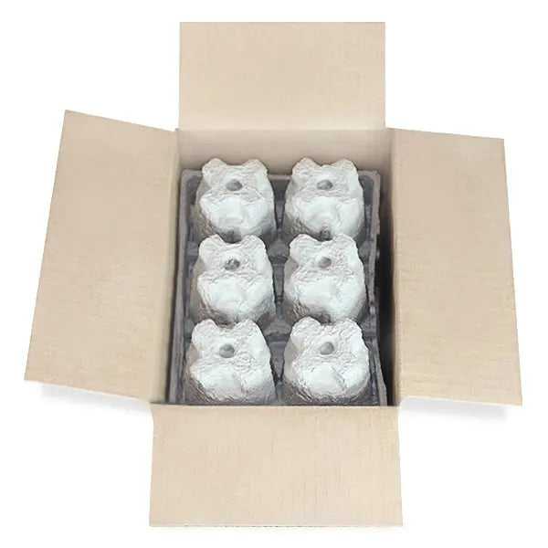 https://www.wineshippingboxes.com/cdn/shop/products/Six-_6_-Can-Beer-Shipper---Kit---2-pulp-shipping-trays-_-1-outer-shipping-box-Molded-Pulp-Packaging-1645480020.jpg?v=1645480021